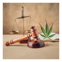 Legalization of Marijuana and Your Mental Health