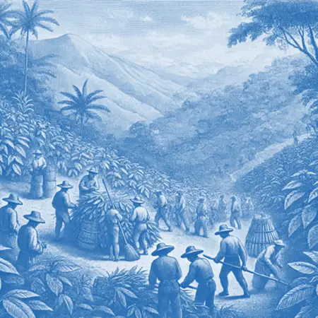 A vintage illustration of workers harvesting coca leaves in a mountainous region represents the origins and production process of cocaine.