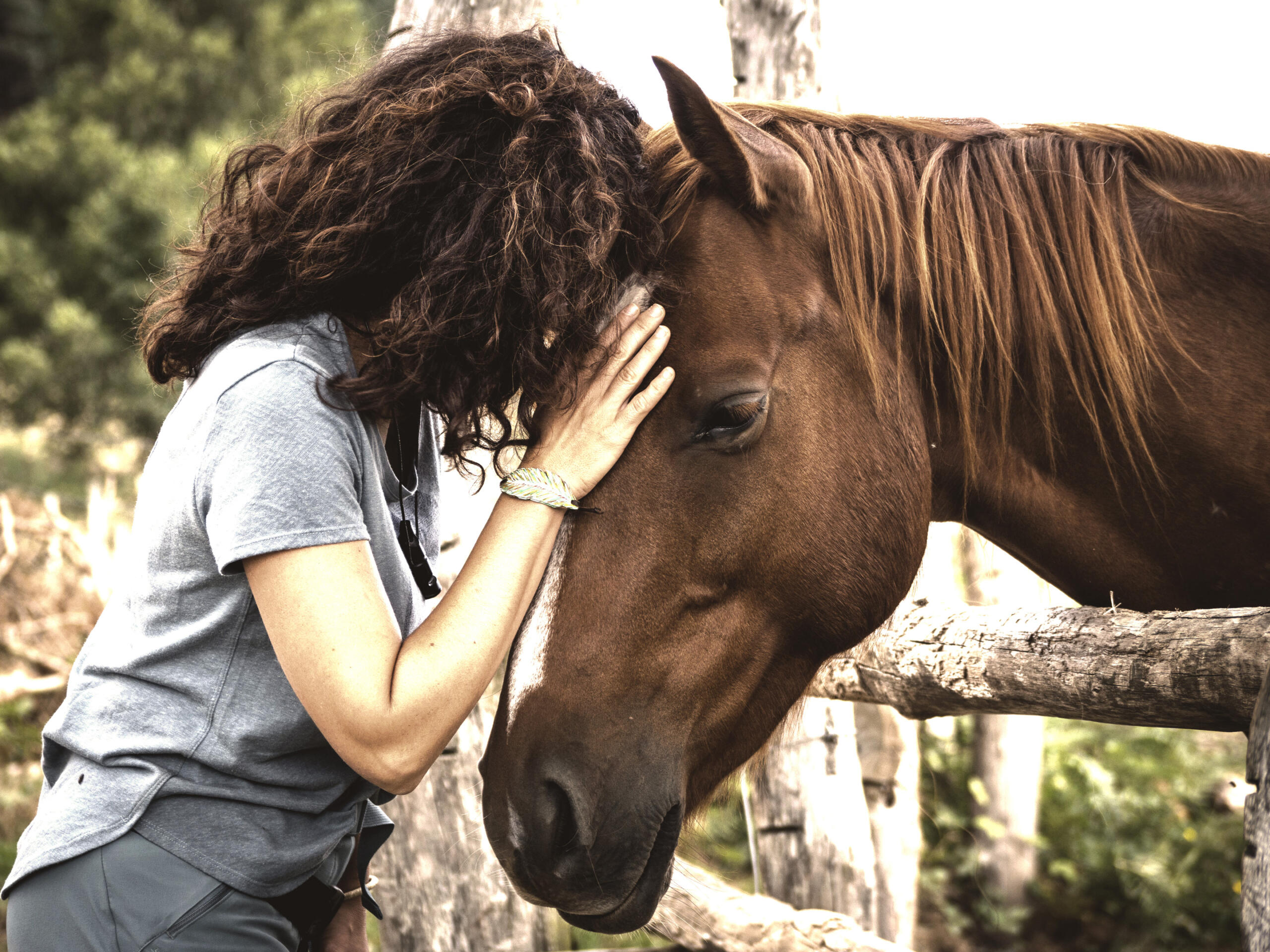 dilworth-center-equine-01